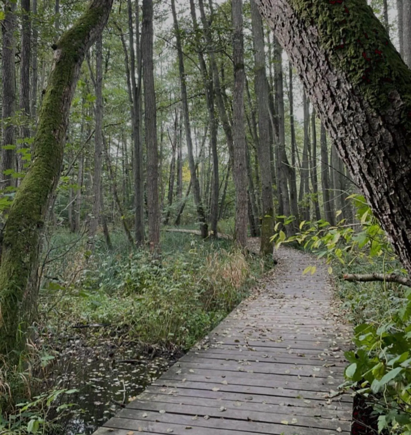 Ateliers Zen · Womens’ Mini Retreat (in Danish)