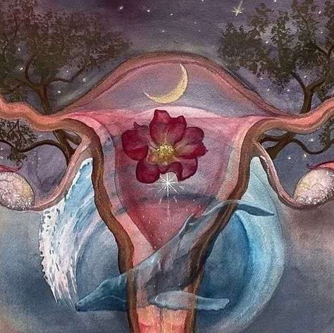 Slow Muse - Womb Circle